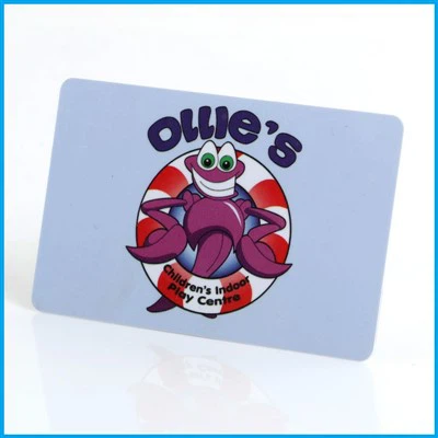 Beste prijs Toegangscontrole RFID-badges Kaart afdrukken